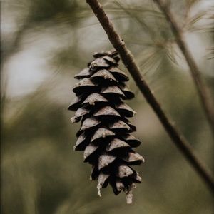 Meet your Posher, Rebekah